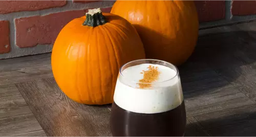 PROTEIN PUMPKIN COLD FOAM